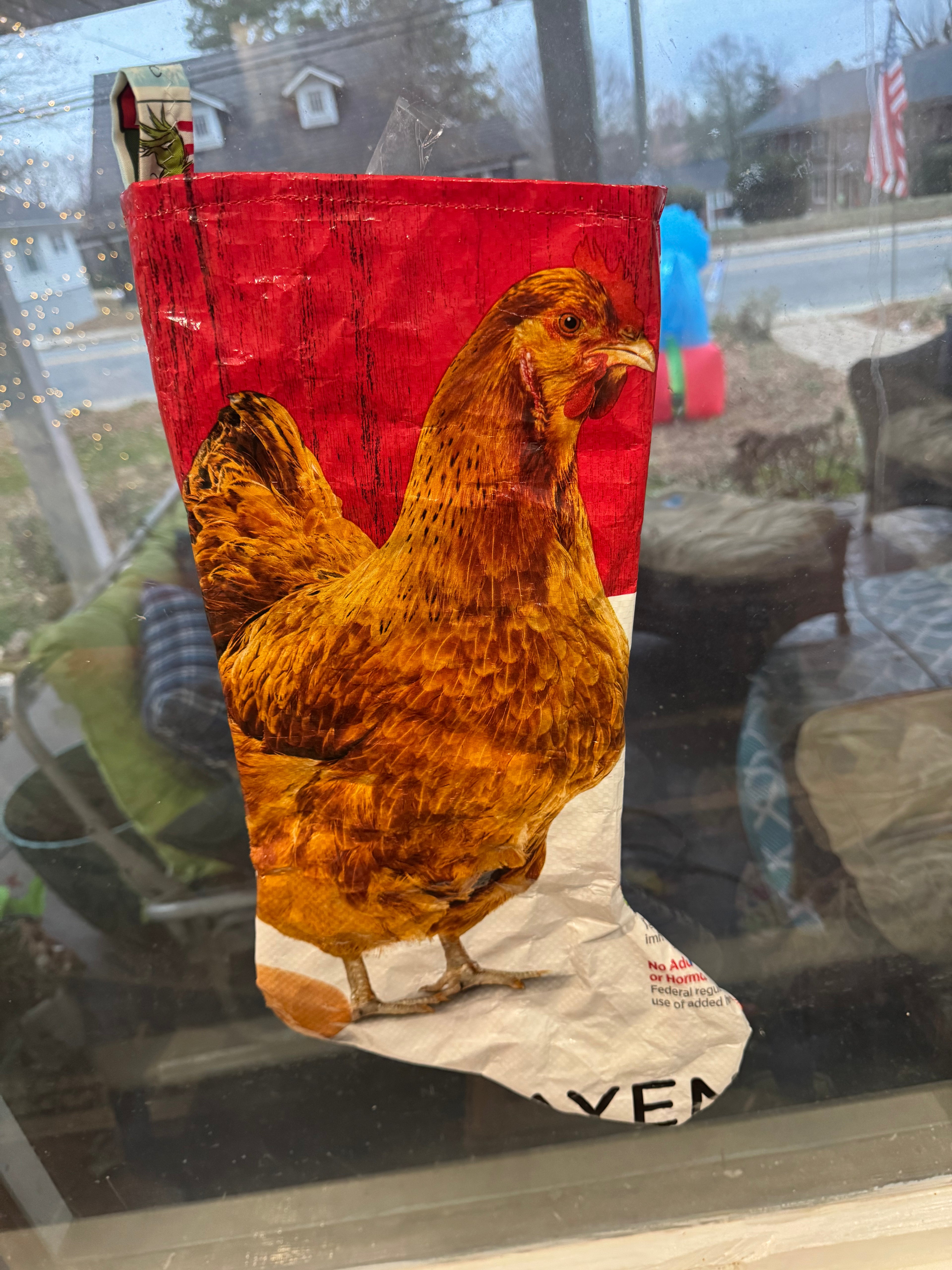 Chicken Stocking, #3