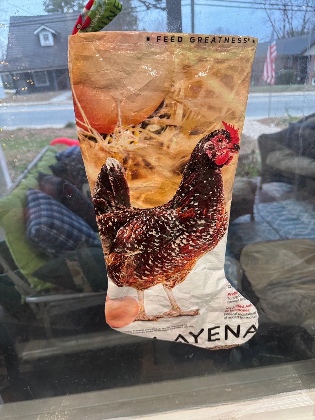 Chicken stocking, #2