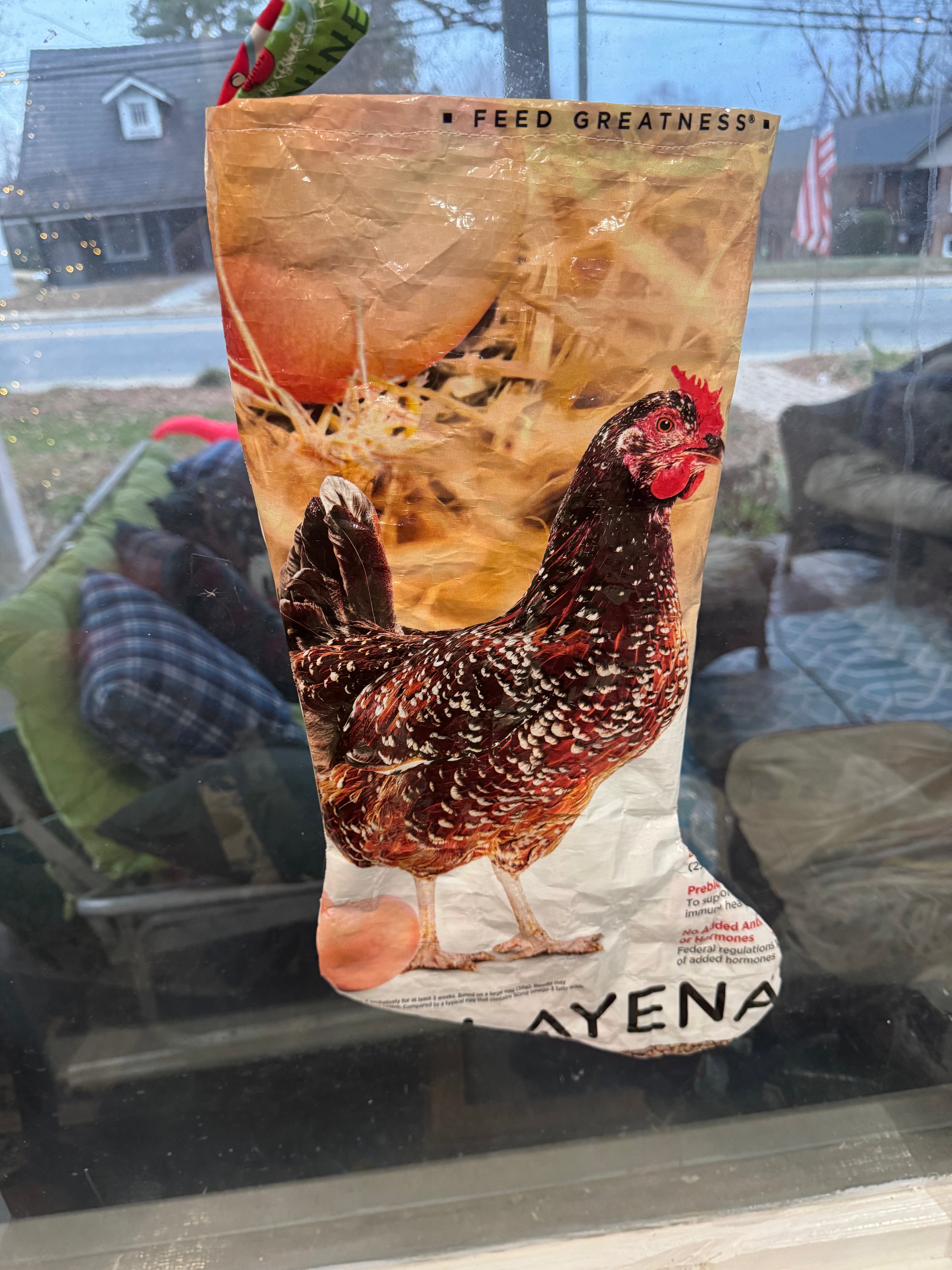 Chicken stocking, #2