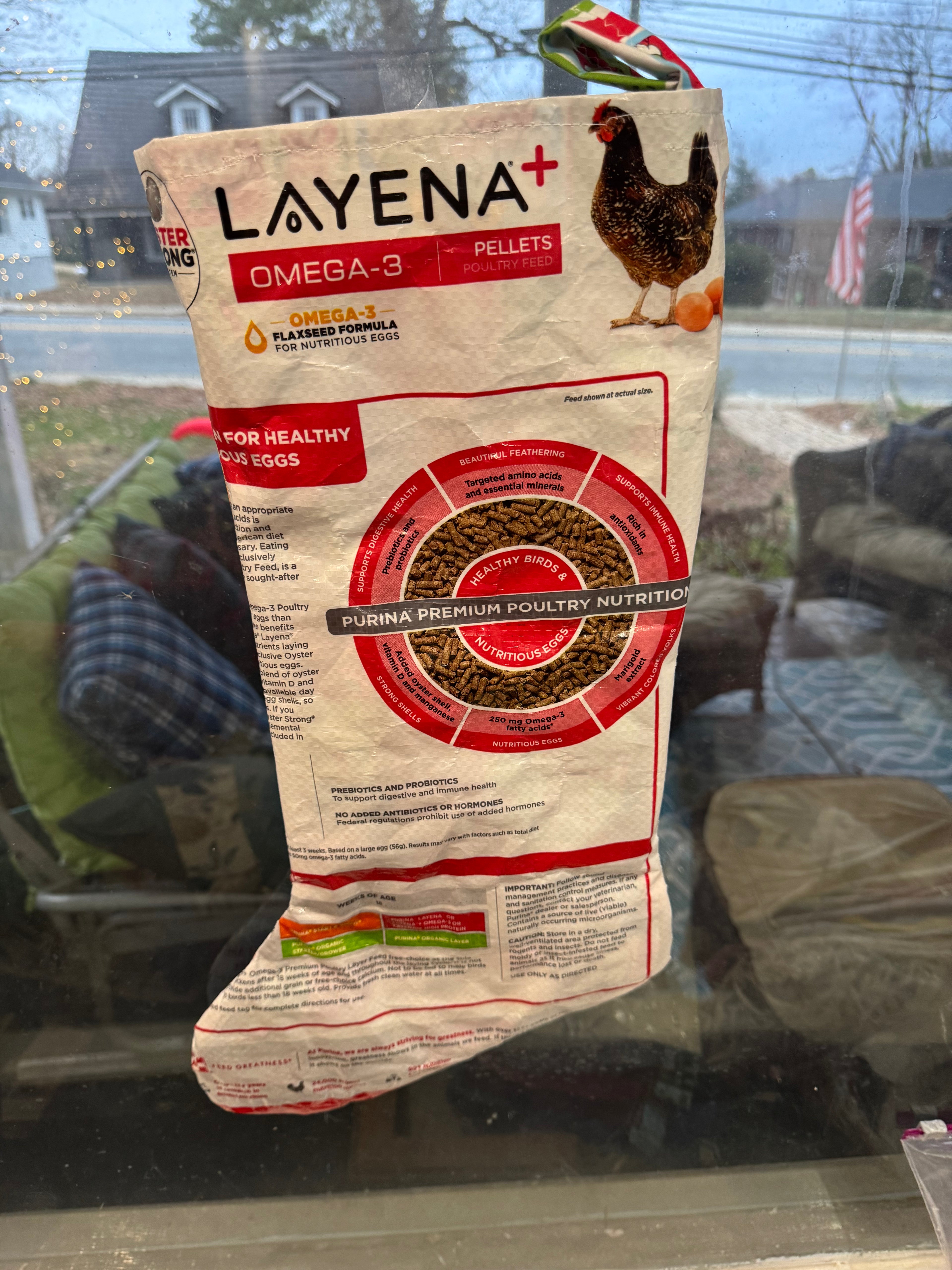 Chicken stocking, #2