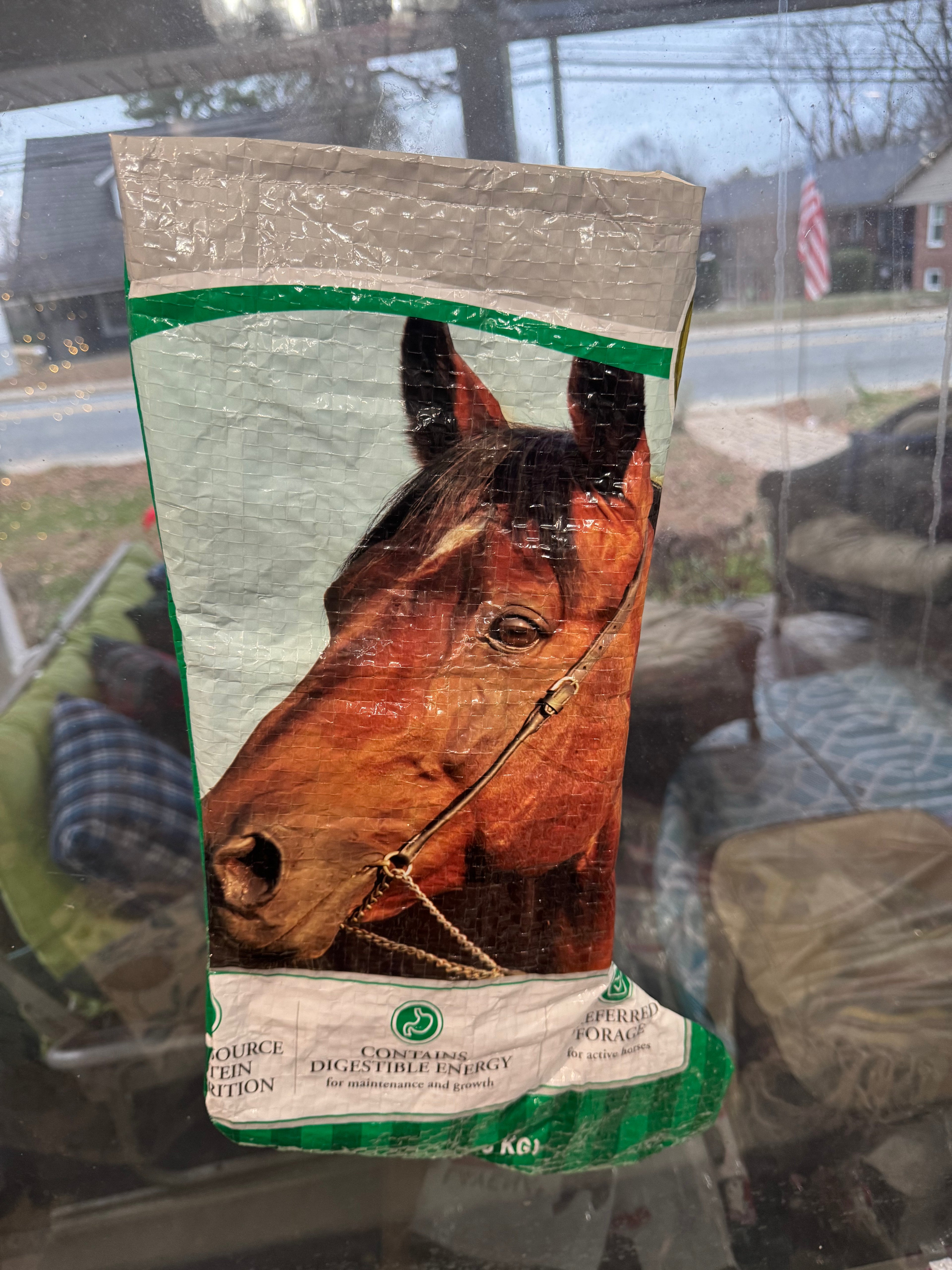 Horse Feed Bag