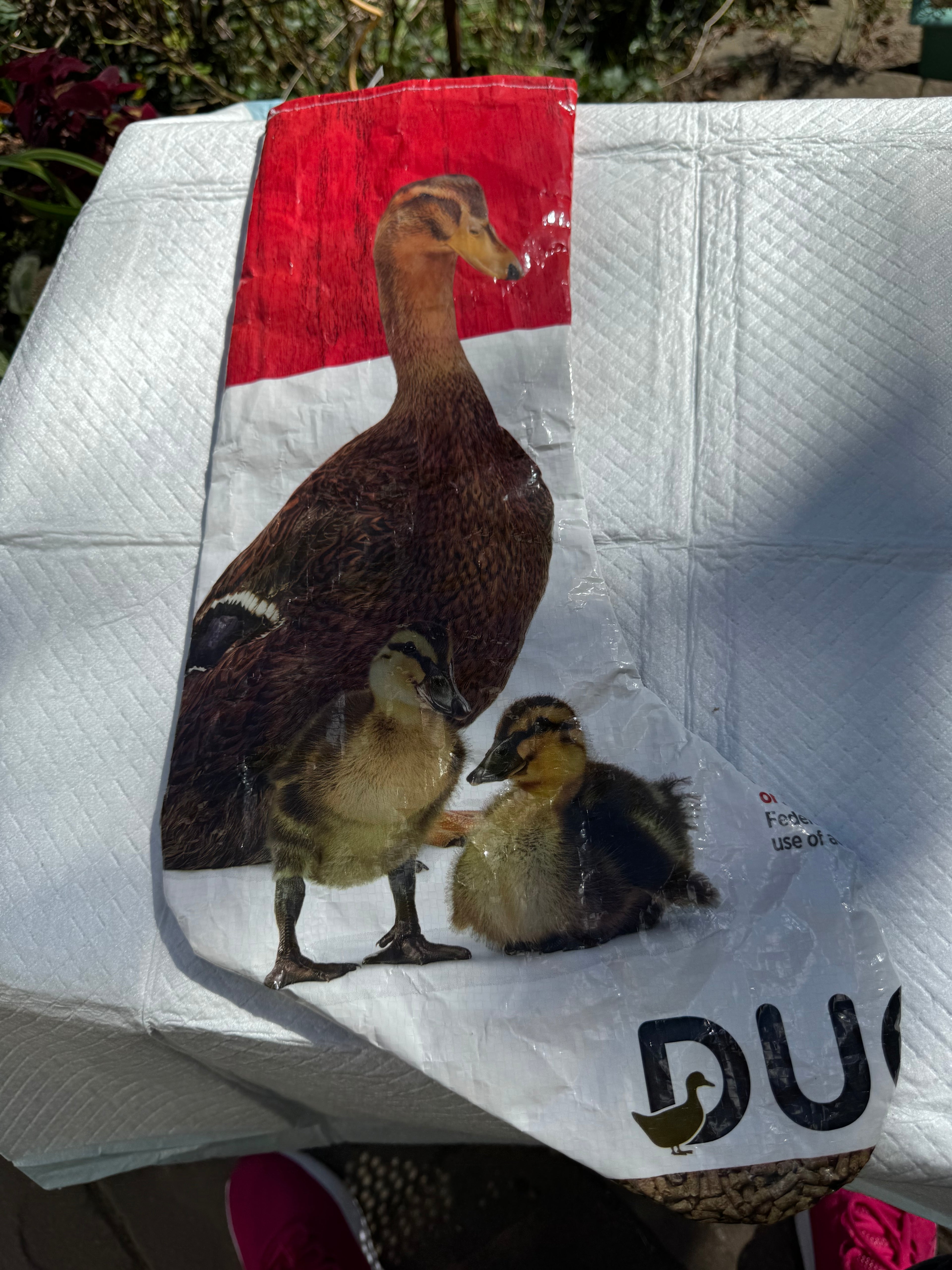 Duck Christmas stocking