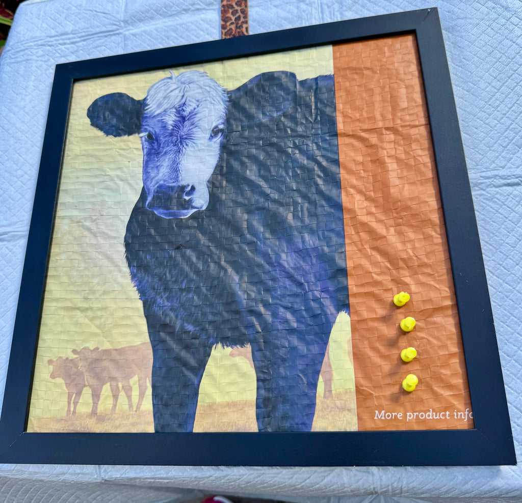 FFB Cork Board, the Holstein